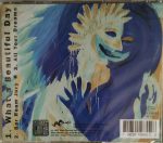 Levellers*-2