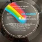 Lynyrd Skynyrd-3