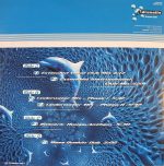 Dolphin's Mind-1