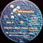 Dolphin's Mind-4