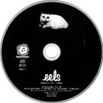 Eels-3