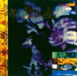 Erasure-1