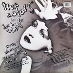 Cyndi Lauper-1