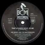 Jive Bunny And The Mastermixers-2