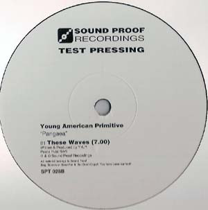 Young American Primitive-1