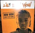 Lil' Bow Wow-1