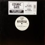 Cosmic Gate-0