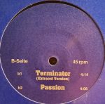 Terminator (4)-2