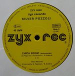 Silvio Pozzoli-3