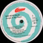 Bad Boys Blue-1