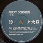 Ferry Corsten-3