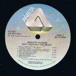Jennifer Warnes-2