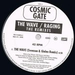 Cosmic Gate-1