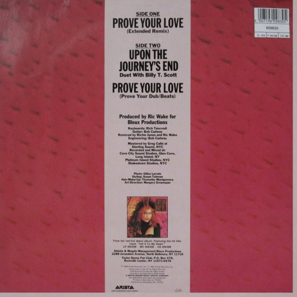 Taylor Dayne-1