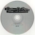 Children Of Bodom-2