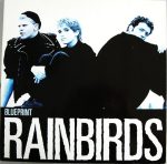 Rainbirds-0