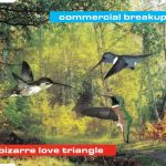 Commercial Breakup-0