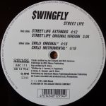 Swing-Fly-0