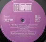 The Mistress & D.J. Madame E-3