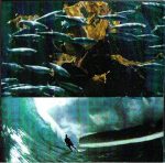 Sting-3