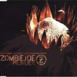 Zombie Joe-0