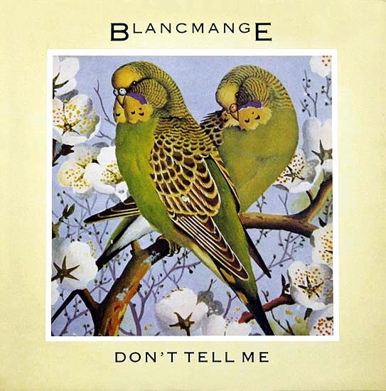 Don't Tell Me-0 Blancmange-0