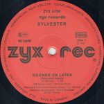 Sylvester-3