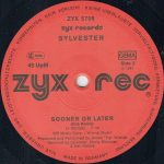 Sylvester-4