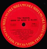 Taj Mahal-2