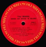 Taj Mahal-3