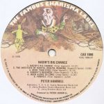 Peter Hammill-2