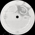 Terence Trent D'Arby-3