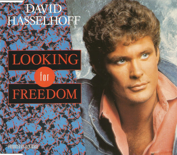 David Hasselhoff-0