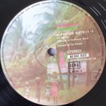 Cat Stevens-2