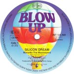 Silicon Dream-2
