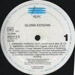 Gloria Estefan-2