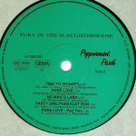 Fury In The Slaughterhouse-3
