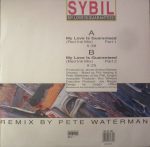 Sybil-1