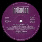 Wolfgang Ambros-4