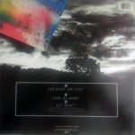 Vision Fields-1