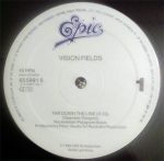Vision Fields-2