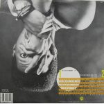 Nile Rodgers-1