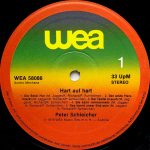 Peter Schleicher-4