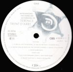 Terence Trent D'Arby-2