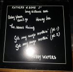 Muddy Waters-3