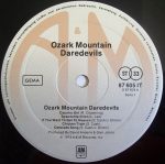 The Ozark Mountain Daredevils-2