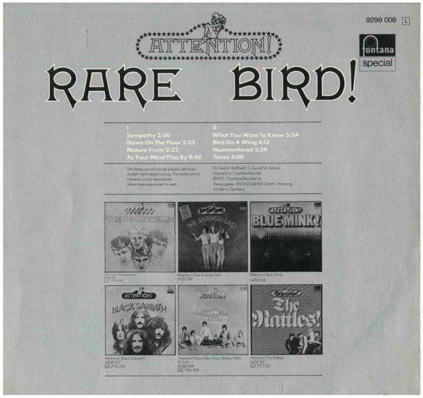 Rare Bird-1