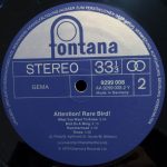 Rare Bird-3