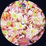 Joe T. Vannelli Feat. Harambee-3