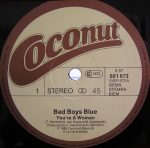 Bad Boys Blue-2